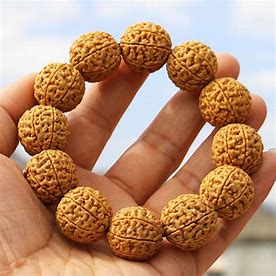 大金刚菩提子手串原籽满肉黄皮五6六7七8八9九瓣男女士尼泊尔佛珠